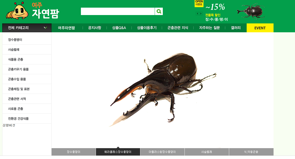 우성레포츠